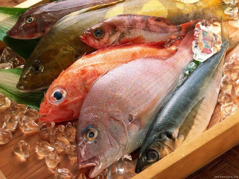 Bệnh gút ăn được cá gì