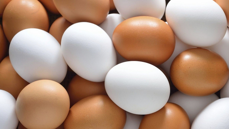 Bệnh gút có được ăn trứng không?
