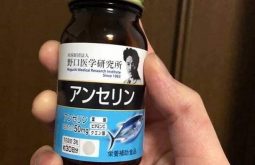 Thuốc trị gout của Nhật