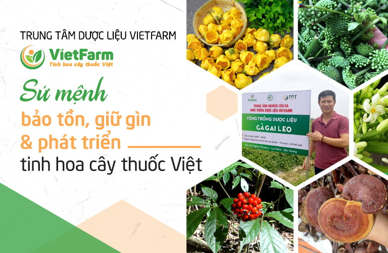 Dược liệu Vietfarm